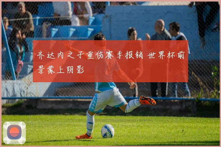 齐达内之子重伤赛季报销 世界杯前景蒙上阴影